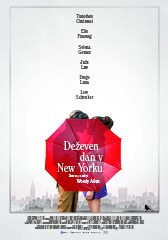  Deeven dan v New Yorku - Rainy day in New York  