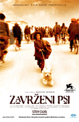  Zavreni psi / Stray Dogs  