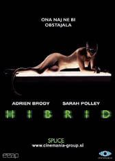  Hibrid