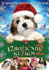  Dvanajst božičnih kužkov / 12 Dogs of Christmas: Great Puppy Rescue  